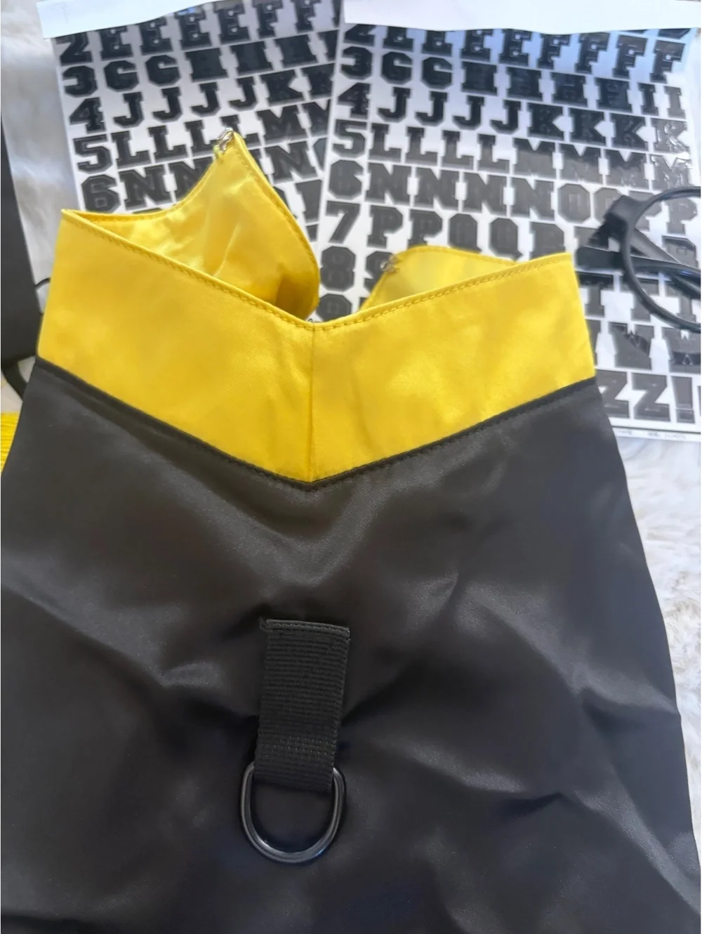 New Huhumy dog graduation outfit